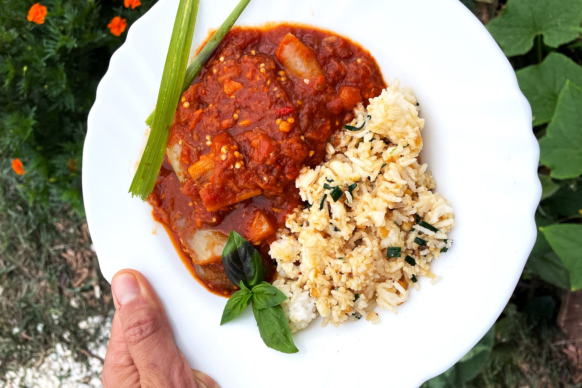 Vegan Nasi Goreng Indonesisch Vegan Recepten Vetjebol